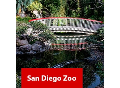 San Diego Zoo - 1 dia